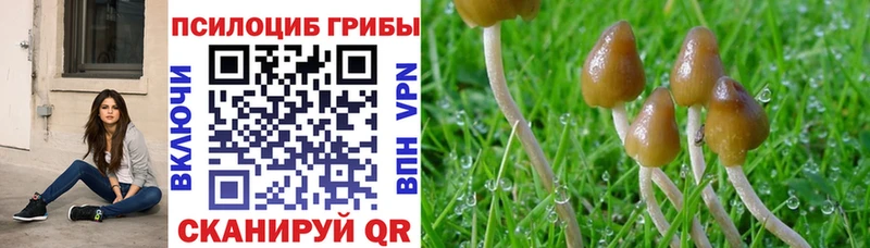 Псилоцибиновые грибы Magic Shrooms  дарнет шоп  Черногорск 